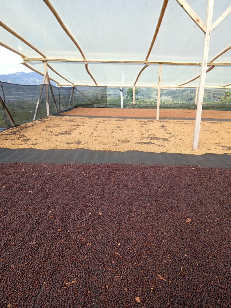 Ombligon, El Diviso Estate